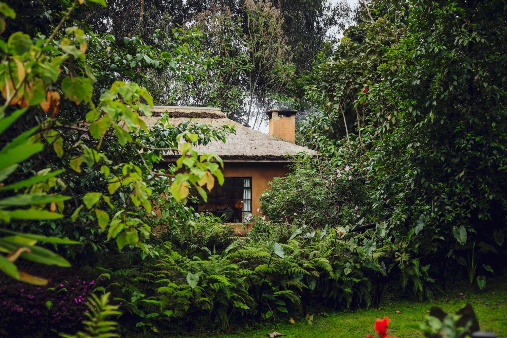 Sambora Kinigi Villa Eksteriør billede